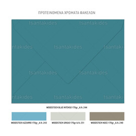 Προσκλητήριο Βάπτισης Για Αγόρι ​Sleeping Animals TS910