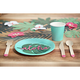 Χάρτινα Πιάτα Γλυκού Βεραμάν (σετ 6 τεμαχίων)