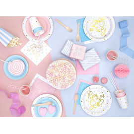 Χαρτοπετσέτες Boy or Girl? (σετ 20 τεμαχίων)