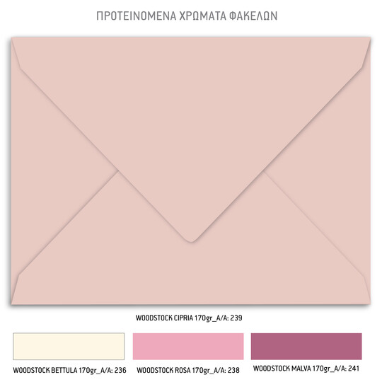 Προσκλητήριο Βάπτισης Για Δίδυμα Ballarinas Bunnies TS456