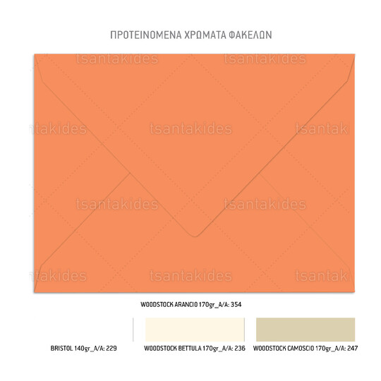 Προσκλητήριο Βάπτισης Για Κορίτσι Cute Sea Turtle 1098