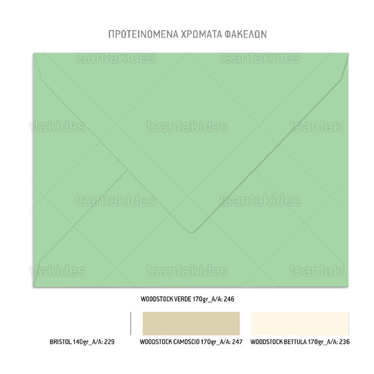 Προσκλητήριο Βάπτισης Για Δίδυμα Forest Fairies 1106