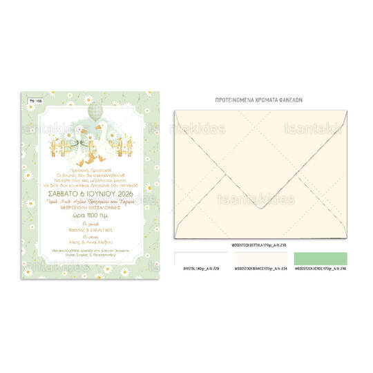 Προσκλητήριο Βάπτισης Για Δίδυμα Silly Geese 1108